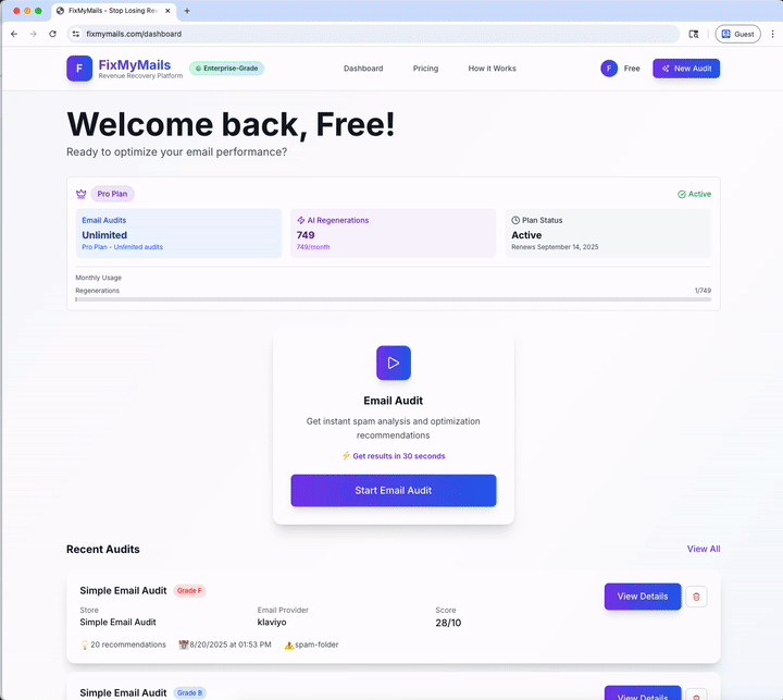 FixMyMails Email Audit Demo